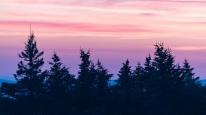 trees, sunset, clouds, fog, pink