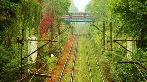 rails, tracks, tram, greens, wires, vegetation