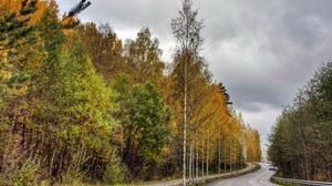 finland, väg, skog, asfalt, träd, höst, molnigt, bil - wallpapers, picture