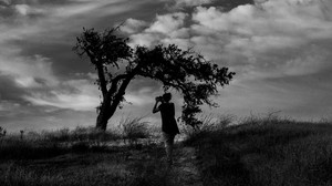 photographer, field, black and white (bw), wind, clouds, tree