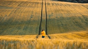 fotografo, campo, fiori, paesaggio