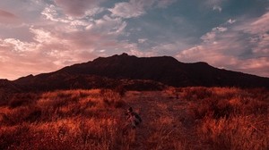 photographer, grass, field, sky, sunset