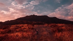 fotografo, erba, campo, cielo, tramonto