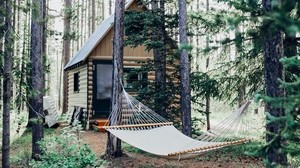 hammock, forest, structure