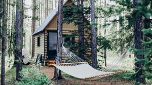 hammock, forest, structure - wallpapers, picture