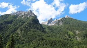 Tyskland, Hintersee, Berchtesgaden, berg, träd