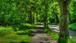 Germany, wetzlar, park, trees, summer, hdr - wallpaper, background, image