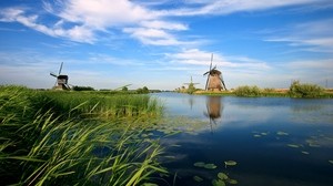 holland, mills, river, vegetation, reeds