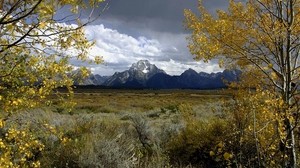 mountain, distance, autumn, trees, field, sky, clouds, grass, dying