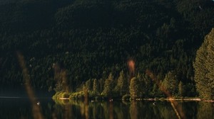 montagna, alberi, lago, foresta, cielo stellato