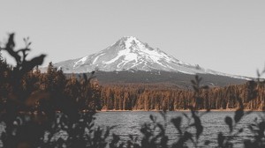 mountain, lake, branches, sky, peak, snowy