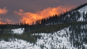 mountain, snow, trees, forest, sunset