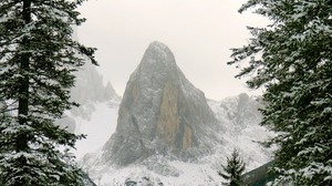 山，雪，树枝，山丘 - wallpapers, picture