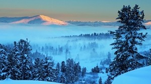 mountain, light, snow, fog, ate, trees, distance, dawn, morning, awakening, landscape, silence