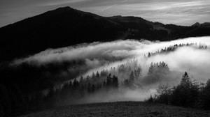 mountain, fog, black and white (bw), trees, hills