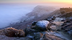 mountain, fog, stones