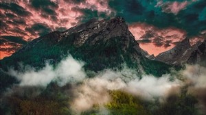 mountain, fog, clouds, forest, trees, grass