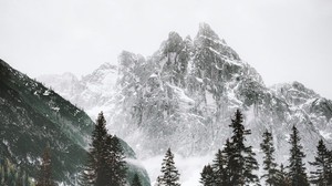 mountain, peak, trees, snow, landscape