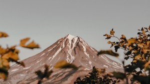mountain, peak, volcano, branches, bushes