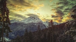 mountain, peak, snowy, clouds, sky, pines, light, shadows, grayness, colors
