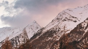 berg, topp, snöig, moln, träd, höst, Italien