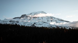 berg, topp, snöig, skog, träd