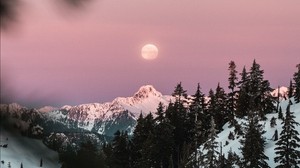 mountain, snowy, sky, branches, moon - wallpapers, picture