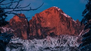 mountain, winter, branches, snow, dusk