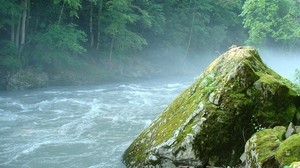 mountain river, stone, moss, Circassian