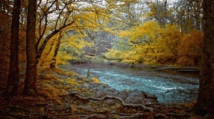 mountain river, stones, forest, gloomy, course, autumn