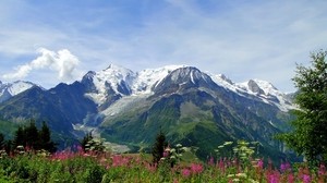 mountains, alps, flowers, peaks, freshness, summer