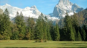 montañas, alpes, árboles, hierba