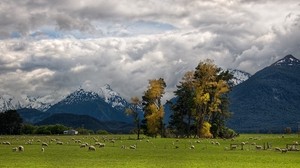 mountains, alps, sheep, pasture, foot, valley, clouds, sky