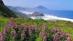 mountains, coast, sea, waves, flowers, greens - wallpaper, background, image