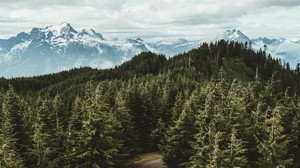 mountains, trees, road, top view, landscape, sky, darrington, usa