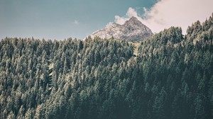 mountains, trees, commune, preoi, italy - wallpapers, picture