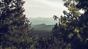 mountains, trees, forest, coniferous, landscape - wallpapers, picture