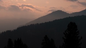 montañas, árboles, noche, colina, dolomitas, Italia