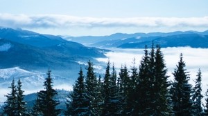 mountains, trees, clouds, forest, panorama, bukovel, Ukraine