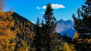 mountains, trees, autumn, landscape, branches, peak - wallpapers, picture