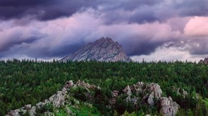 山、木、タガナイ、国立公園、ウラル、ロシア