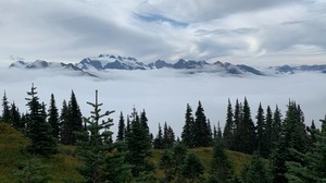 mountains, trees, fog, clouds, landscape