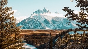 mountains, trees, peak, branches, landscape