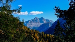 mountains, trees, branches, overview, autumn, landscape