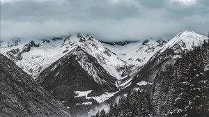 mountains, trees, winter, snow, clouds, snowy