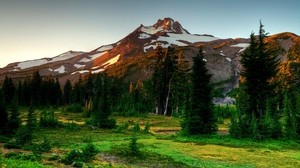 山、木、トウヒ、自然、風景