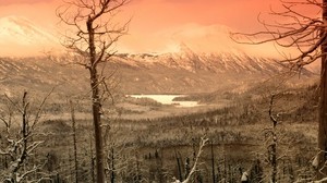 mountains, trees, cold, winter, snow, fog, gray