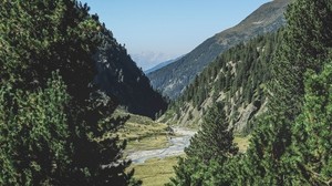 Berge, Bäume, Sommer, Gras