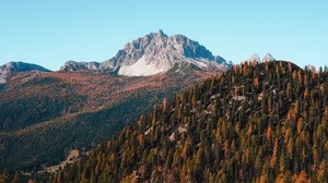 mountains, trees, autumn - wallpapers, picture