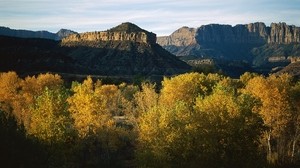 berg, träd, höst, vegetation, kväll, skugga